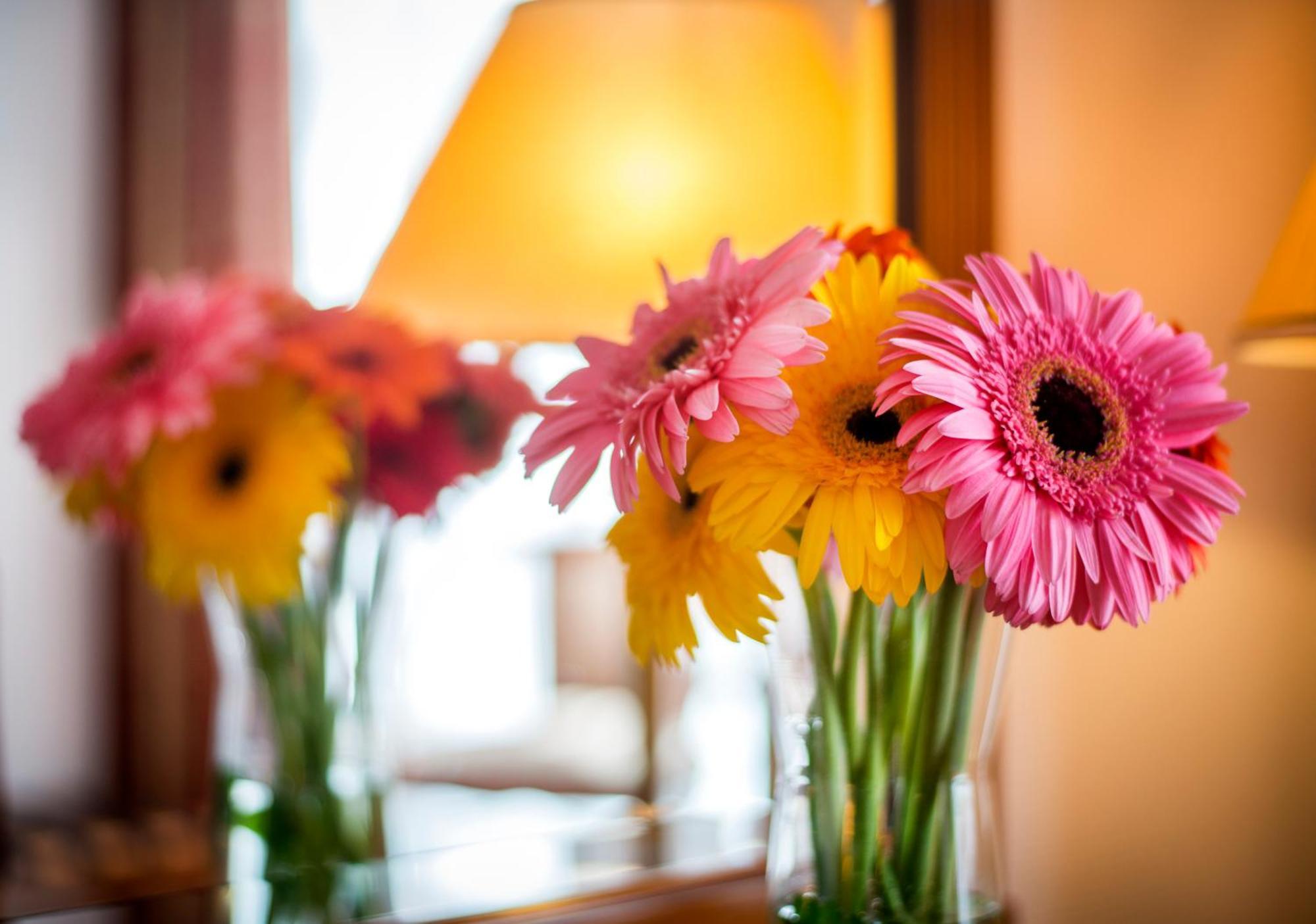 Boutique Seven Days Hotel Praha